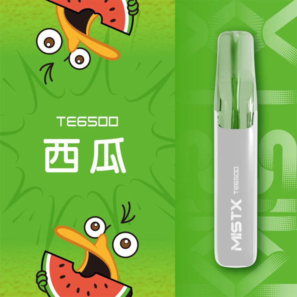 【MIST拋棄式6500口】MIST X 鴨嘴獸 6500口一次性電子煙 台灣現貨