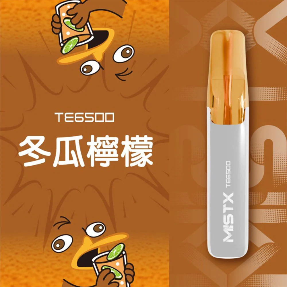 【MIST拋棄式6500口】MIST X 鴨嘴獸 6500口一次性電子煙 台灣現貨