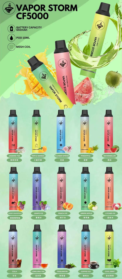 【VAPOR STORM拋棄式5000口】VAPOR STORM 風暴一次性電子霧化桿