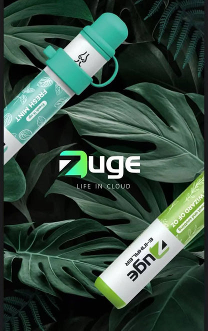 【越南ZUGE鼻吸器】Zuge鼻吸式0丁/無丁電子菸拋棄式 提神替煙工具 無尼古丁無焦油