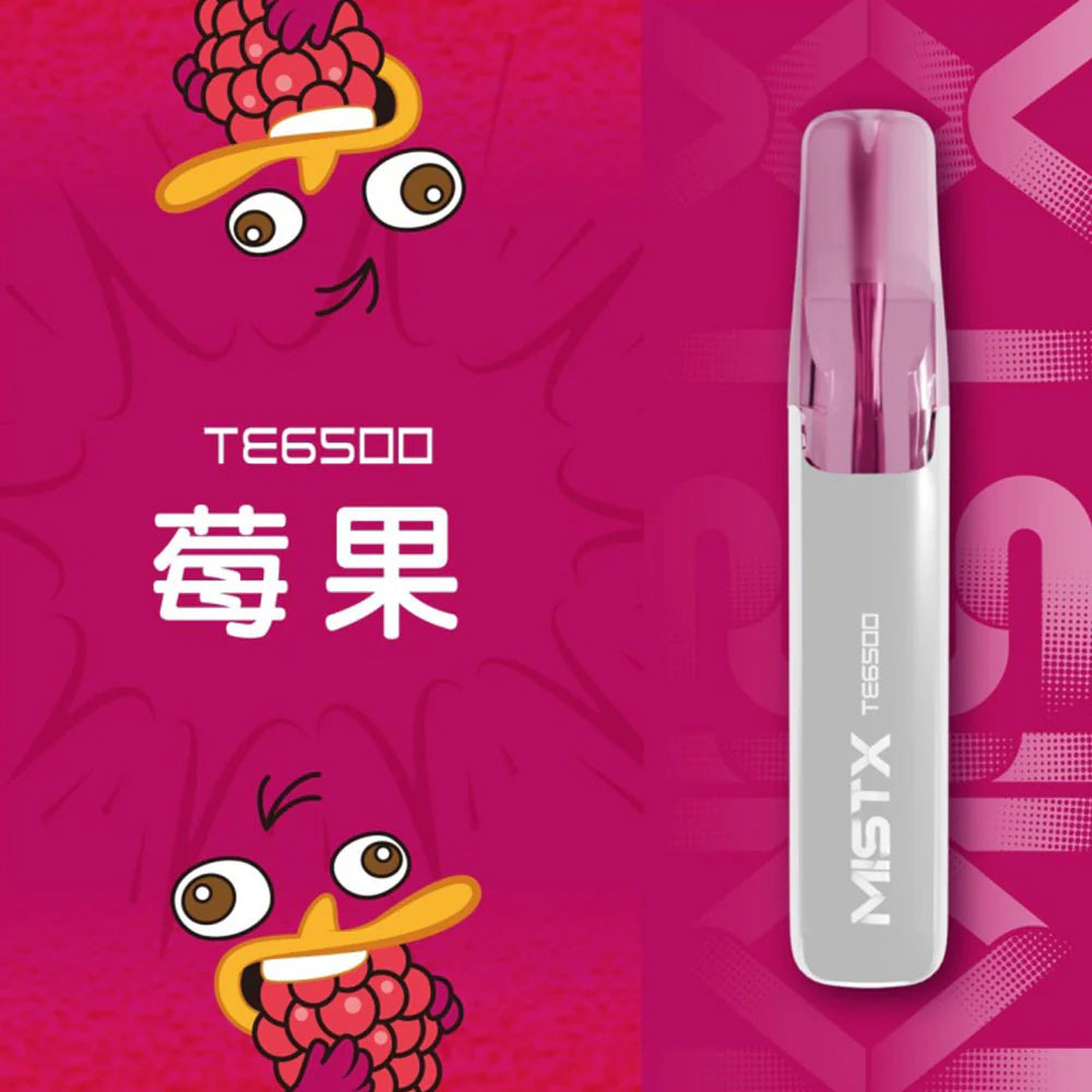 【MIST拋棄式6500口】MIST X 鴨嘴獸 6500口一次性電子煙 台灣現貨