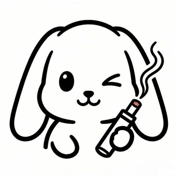 蒸汽兔
